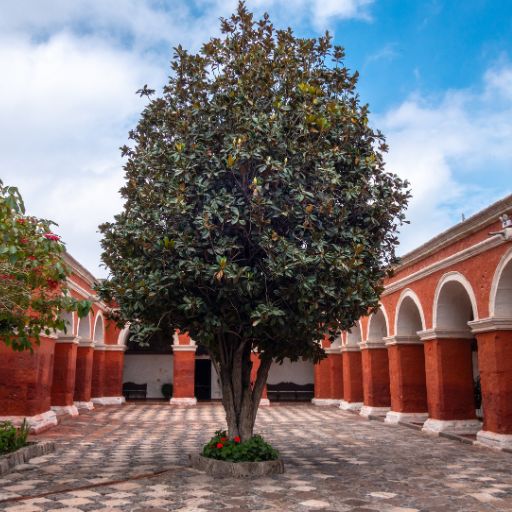 Monasterio Santa Catalina 4