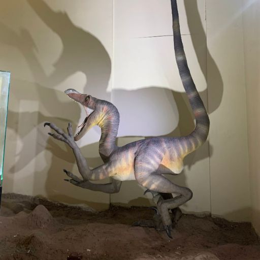 Museo Historia Natural de Lima 4