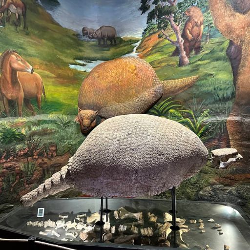Museo Histórico Regional 3