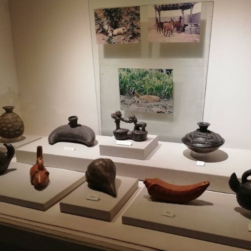 Museo Nacional de Arqueologia 4