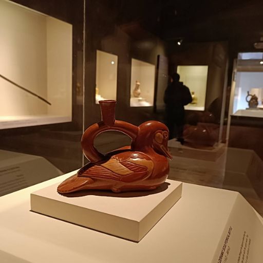 Museo de Arte Precolombino 3