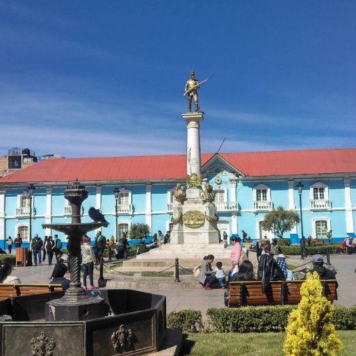 Parque Pino 2