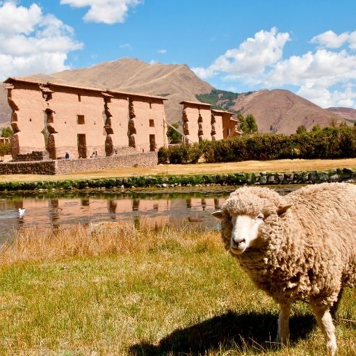 Sitio Arqueológico Raqchi 4